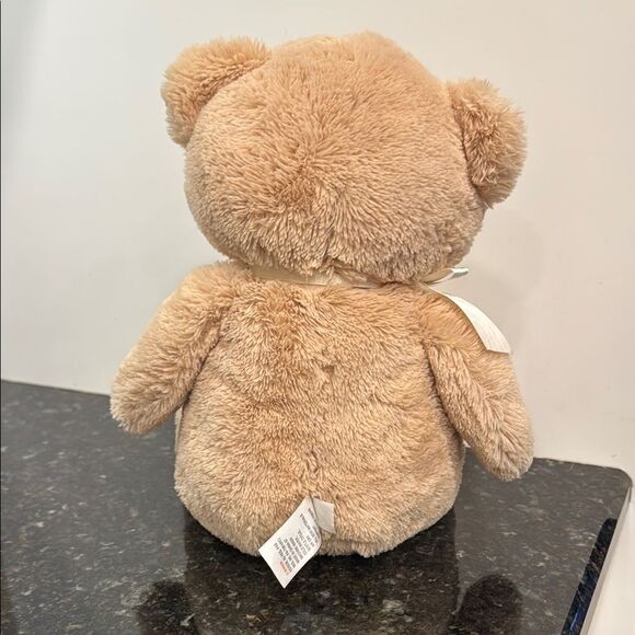 Baby Gund My First Teddy Tan Plush ~ Sewn Eyes & Nose Tan Teddy Bear Plush Toy - Picture 5 of 10